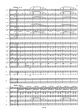 Strauss An der schonen blauen Donau Op. 314 Orchester (Partitur) (Fritz Racek)