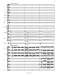 Sibelius Tapiola Opus 112 Orchester Partitur (Kari Kilpeläinen)