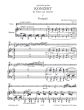 Bruch Konzert No.1 g-moll Op.26 Violine Und Orchester AUsgabe Violine und Klavier (Herausgebers Wilhelm Stross und Kurt Soldan)