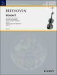 Concerto Op.61 D-major