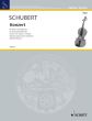 Schubert Konzert C-Dur for Viola and Piano (Schultz-Hauser)