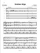 Album World Music Klezmer (Flexible Ensemble) (Bk-Cd) (Score/instrumental parts as PDF on CD) (arr. Yale Strom)