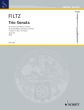 Filtz Trio Sonata F-Major Op. 2 No. 5 2 Flutes with Bc (Hugo Ruf) (Grade 3)