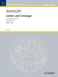 Mahler Lieder & Gesange Vol.2 Hoch