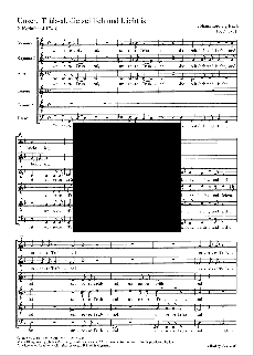 Bach Unsere Trübsal, die zeitlich und leicht ist Motette Coro SSATTB, [Bc]