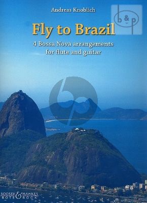 Fly to Brazil