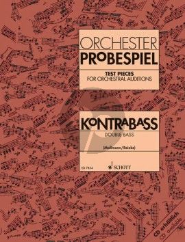 Orchester Probespiel Kontrabass