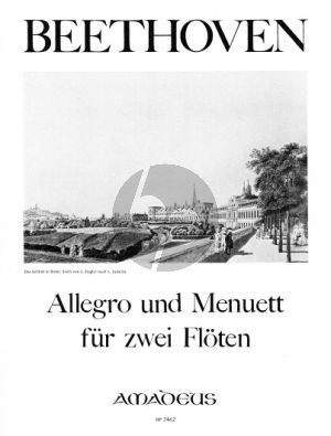 Allegro und Menuett