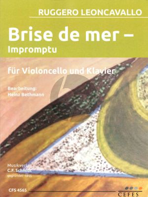 Brise de mer - Impromtu Violoncello-Klavier