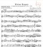 Kleines Konzert (Petit Concerto) (Andante und Allegro) fur Violine und Klavier