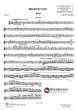 Saint Saens Berceuse Op.38 pour Violon et Piano