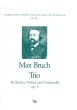 Bruch Trio C Minor Op.5 Violin Violoncello and Piano