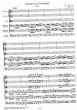 Concerto No.28 g-minor RV 531 (2 Violonc.solo- 2 Vi.-Va.-Bc)