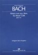 Bach Kantate BWV 101 Nimm von uns, Herr, du treuer Gott Soli-Chor-Orch. KA