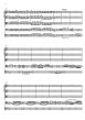 Vivaldi Konzert e-moll RV 409 Violoncello Solo, 2 Violinen, Viola und Bc (mit Fagott obl.) Partitur (herausgegeben von Markus Möllenbeck)