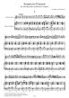 corelli Sonata D minor for Alto Recorder and Basso Continuo