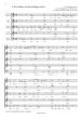 Music for the Spirit SATB and Organ (opt.) (german / english / latin (Choirbook for Pentecost and Other Occasions) (edited by Stephen Harrap)
