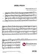 Strauss 3 Polkas Op.137 - 133 - 236 Streichquartett (Part./Stimmen) (Ursula Erhart-Schwertmann)