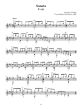 Scarlatti 30 Sonatas for Guitar (arr. Fabio Zanon)