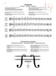 Suzuki Violin School Vol. 5 Violin part (international edition)