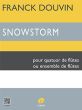 Douvin Snowstorm 4 Flutes (Score/Parts)