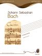 Bach Ciaccona for Guitar Solo (Alberto Ponce)