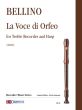 Bellino La Voce di Orfeo for Treble Recorder and Harp (2011)