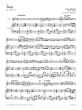 Spanische Tanze Flöte und Klavier (Granados - de Sarasate und Albeniz) (Fereshteh Rahbari)