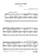 Schubert Fantasie F-moll Op. 103 D. 940 Orgel (Pier Damiano Peretti)