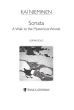 Nieminen Sonata:  A Walk to the Mysterious Woods for Guitar