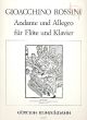 Andante and Allegro Flute-Piano