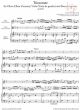 Triosonate g-moll nach BWV 76 / 8 und 528 (Oboe[Oboe d'Amore]-Viola-Bc)