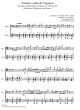 Weber Andante e Rondo Ungarese J.158 Op.35 Fagott[Vc.]-Gitarre