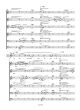 Avicii Levels for Mixed Choir (SMezATBarB) (arr. Hans Vainikainen)