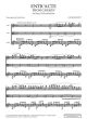 Bizet Entr’acte from ‘Carmen’ for Flute, Viola and Guitar (Score/Parts) (transcr. by Fabio Rizza)