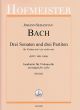 Bach Drei Sonaten und drei Partiten BWV 1001 – 1006 bearbeitet für Violoncello solo (Tobias Stosiek)