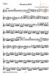Concerto g-minor (Harrach-Konzert)