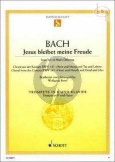 Jesu bleibet meine Freude (Jesu, Joy of Man's Desiring)