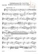 Concerto Op.13 G-major (No.2) for Violin and Piano