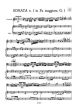 Boccherini 19 Sonatas Vol.1 (G. 1 - 9) (Vito Paternoster)