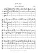 Folky Irish Flutes (Traditional Irish Tunes) 4 Flutes (Score/Parts) (arr. Thomas Forkert)