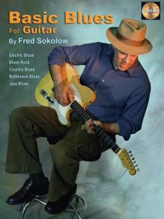 Sokolow Basic Blues Guitar (with TAB) Book with Cd