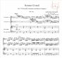 Concerto g-minor RV 531 (PV 411)