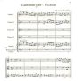 Braun Canzonato 4 Violinen oder Sopranblockflöten (Part./Stimmen) (Konrad Ruhland)