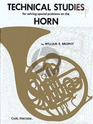 Technical Studies for Solving Problems on the Horn