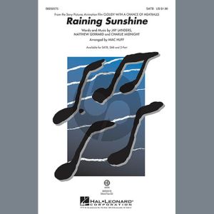 Raining Sunshine (from Cloudy With A Chance Of Meatballs)