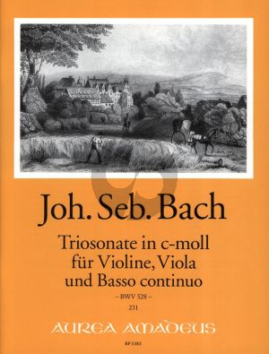 Bach Triosonate c-moll BWV 528 fur Violine, Viola und Bc (Herausgegeben von Bernhard Pauler Continuo Wolfgang Kostujak)