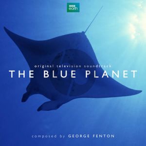 The Blue Planet, Sardine Run