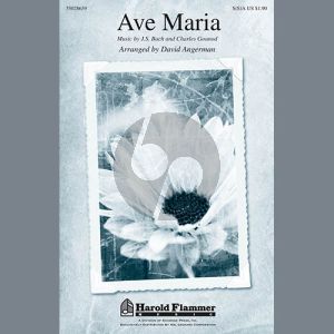 Ave Maria (arr. David Angerman)