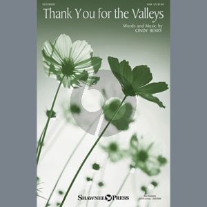 Thank You For The Valleys